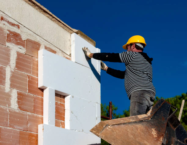 Best Insulation Inspection Services  in Mitchell, NE